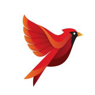 Şebnem Akkuş Logo
